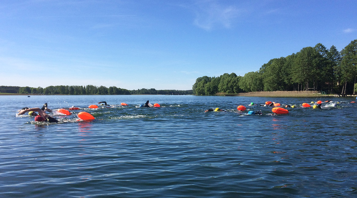 Mistrzowie pływania
